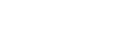 Forged Viking